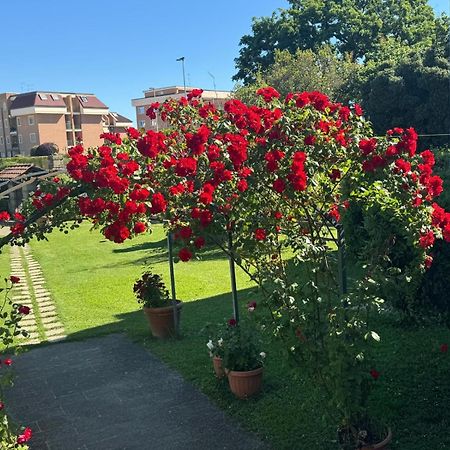 B&B Le Cinque Querce Вітербо Екстер'єр фото
